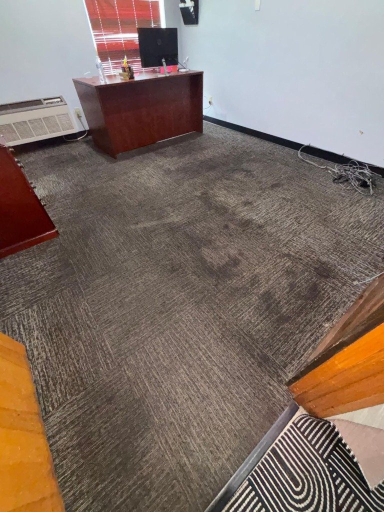 Carpet Before Cleaning