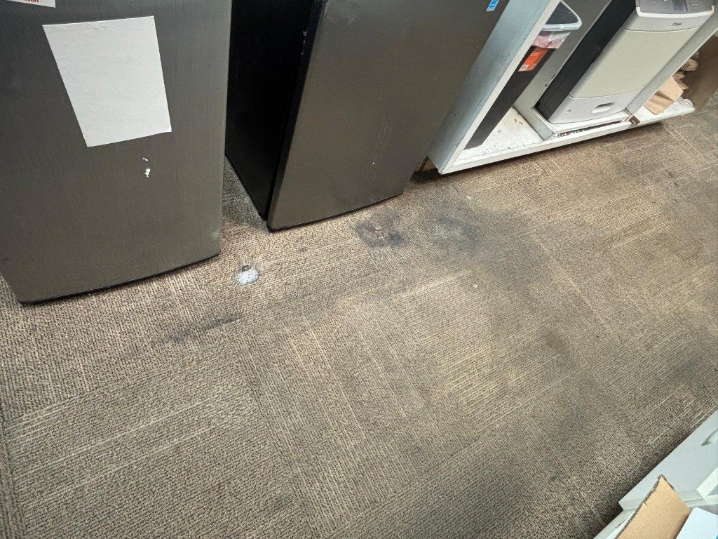 Carpet Near Fridge Before