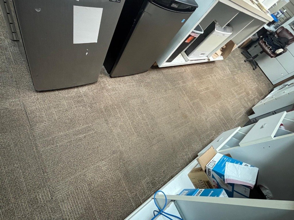 Carpet Near Fridge After
