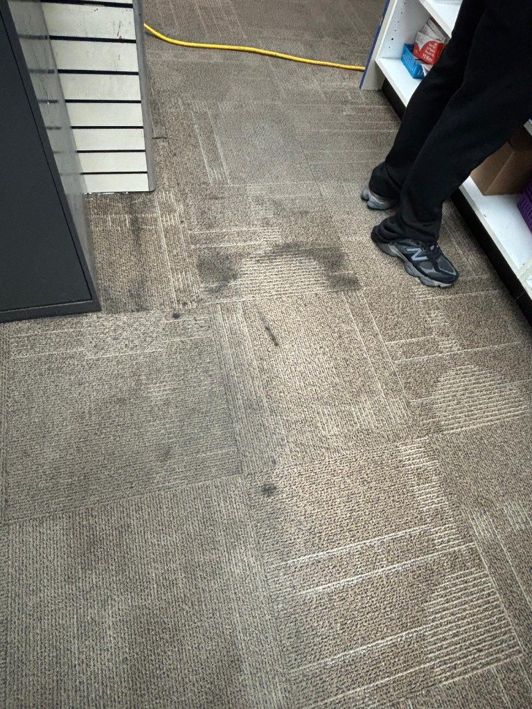 Walkway Before Cleaning