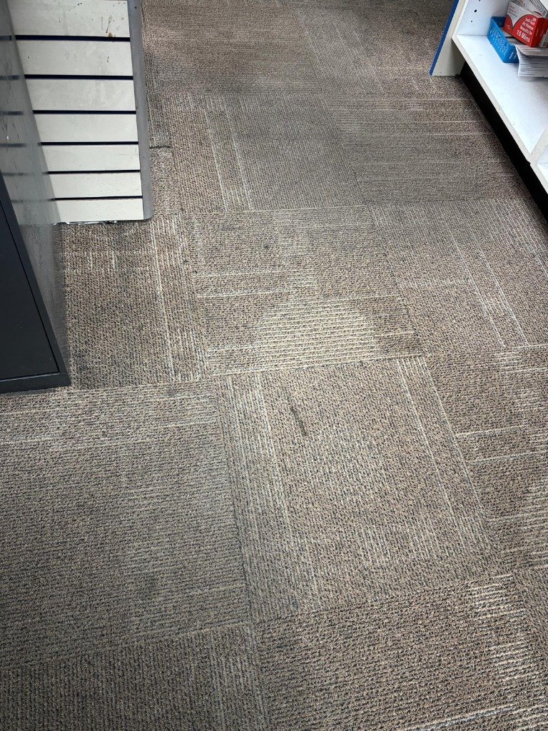 Walkway After Cleaning